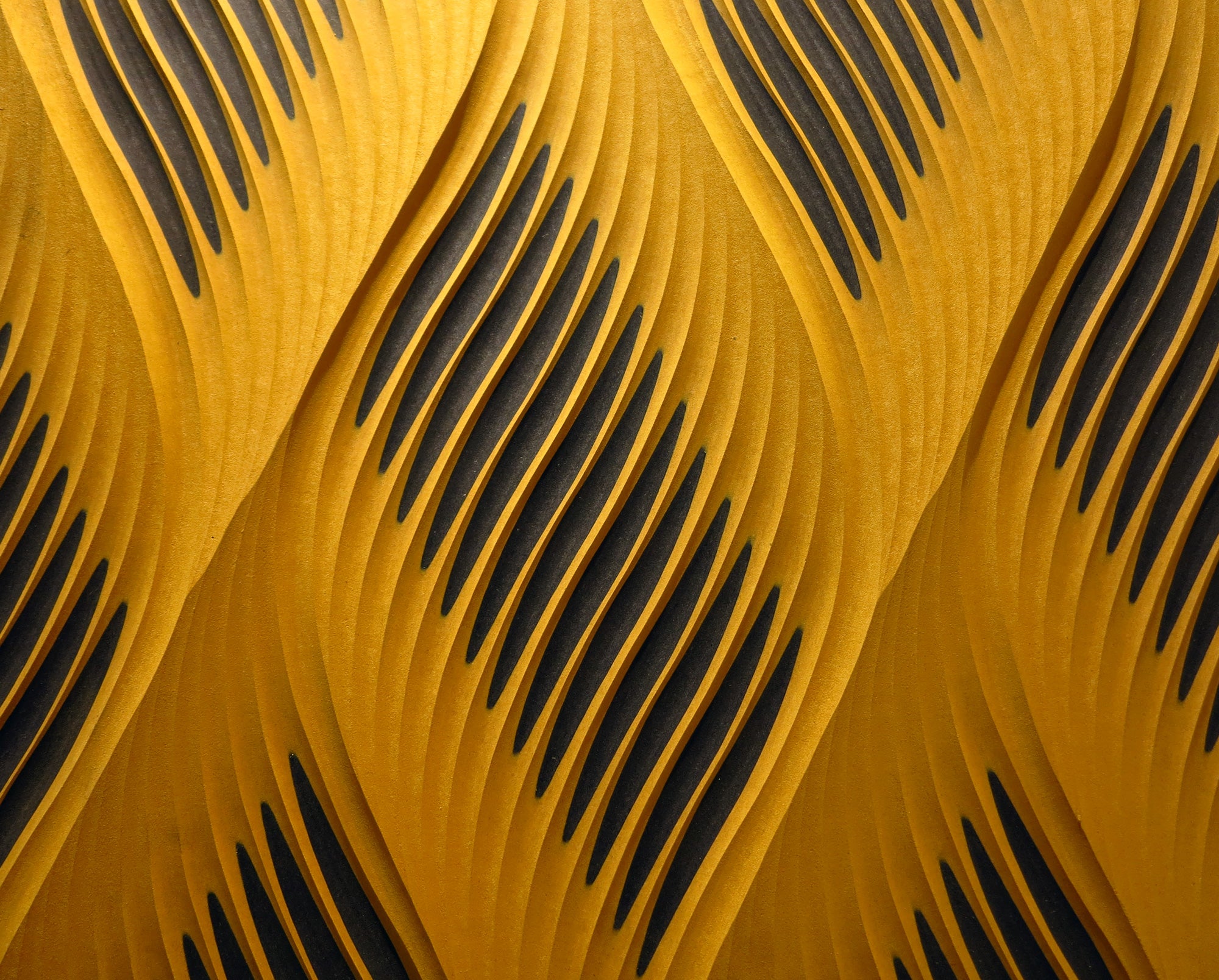 ForesCOLOR – Interlam