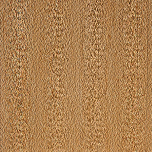 Art Diffusion | COT-004.25