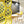 Screens - PET